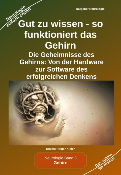 Gut zu wissen – so funktioniert das Gehirn